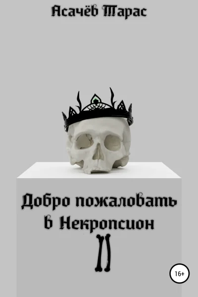 Обложка книги «Добро пожаловать в Некропсион II»