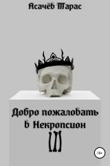 Обложка книги «Добро пожаловать в Некропсион III»