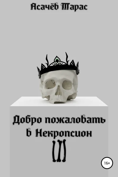 Обложка книги «Добро пожаловать в Некропсион III»