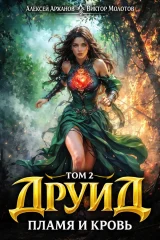 Обложка книги «Друид. Том 2. Пламя и кровь»