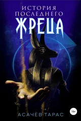 Обложка книги «История последнего Жреца»