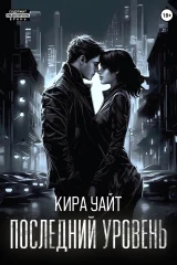 Обложка книги «Последний уровень»