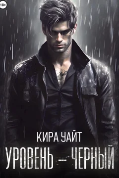 Обложка книги «Уровень – Черный»